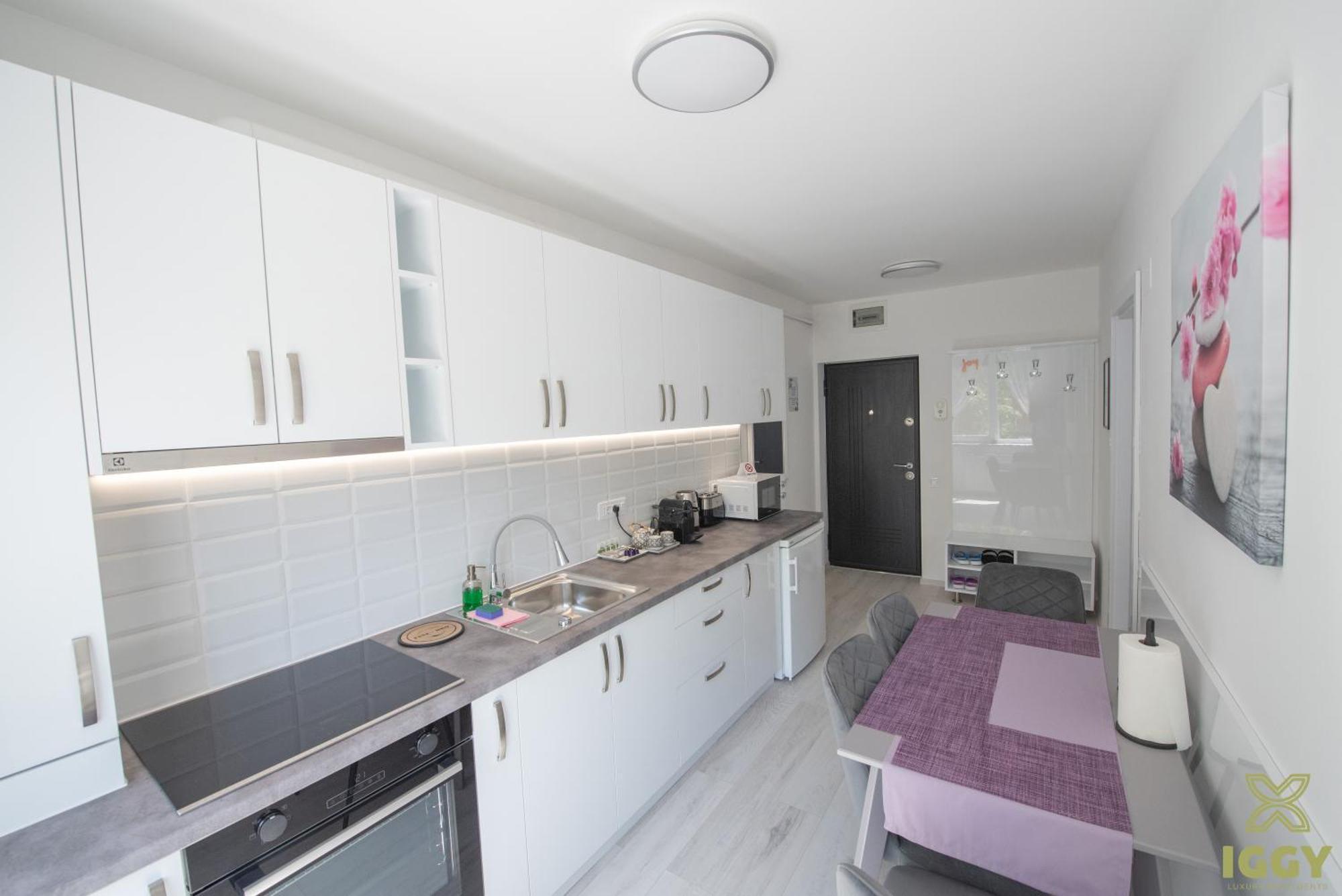 Iggy Premium Apartment Hunedoara Exterior foto